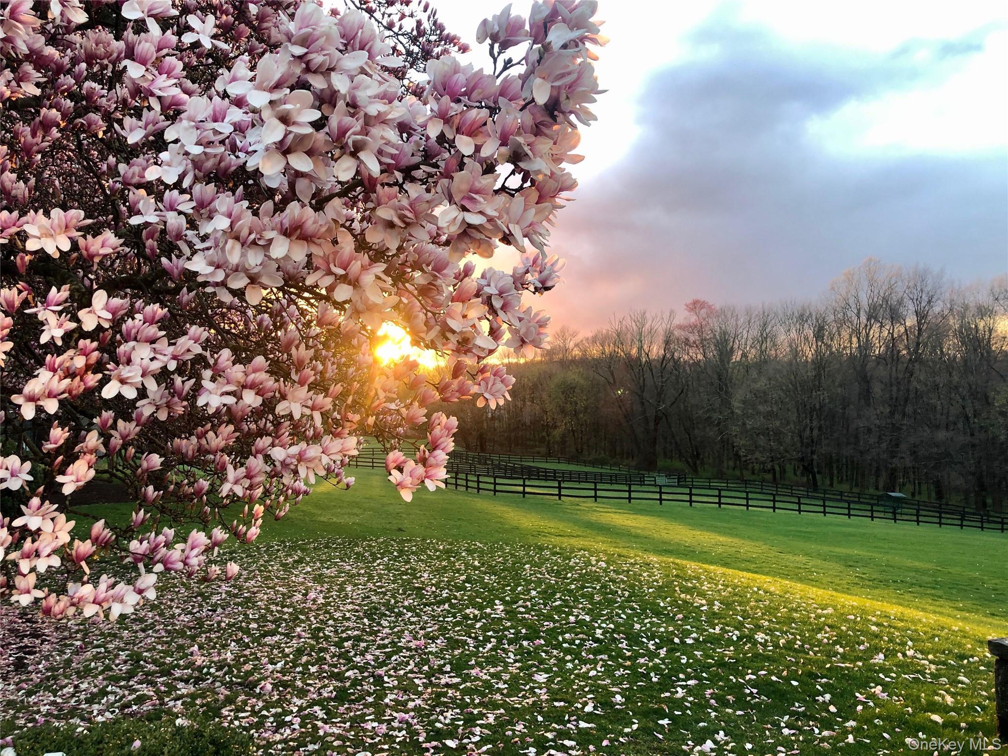 Single Family Narrows Westchester County, NY 10507, MLS-H6333861-30