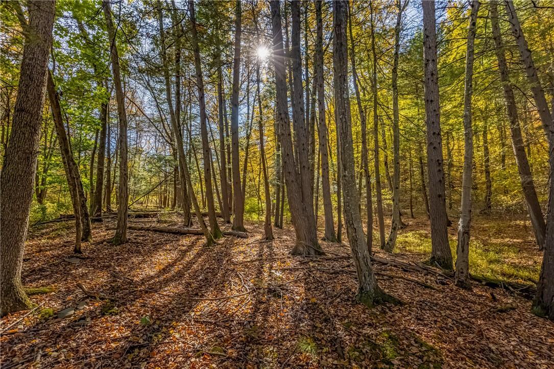 Single Family Old State Route 32  Ulster County, NY 12477, MLS-H6334026-26