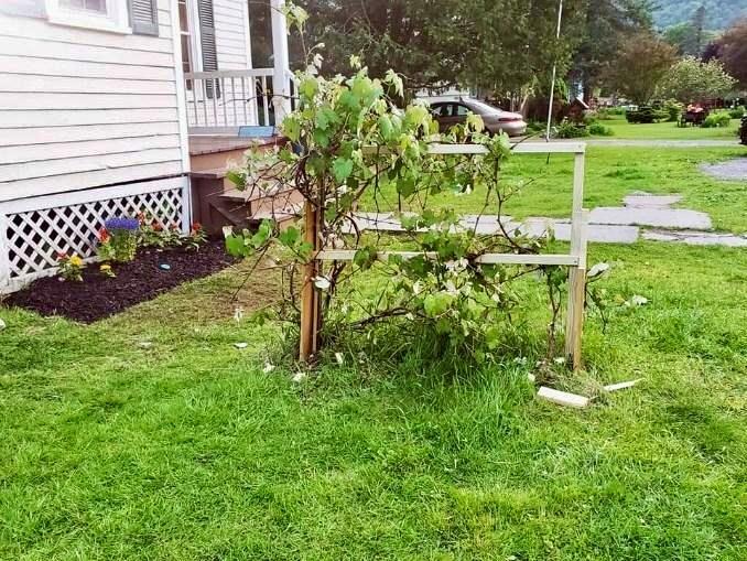 Single Family Yorktown  Sullivan County, NY 12776, MLS-H6334436-2
