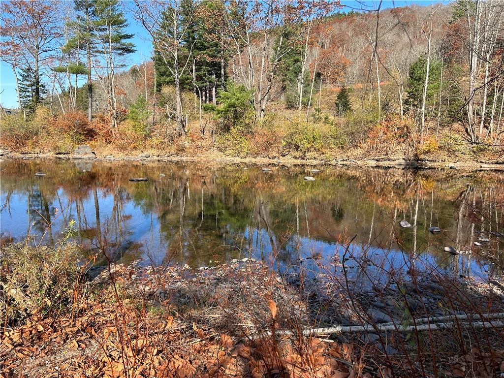 Single Family Yorktown  Sullivan County, NY 12776, MLS-H6334436-21