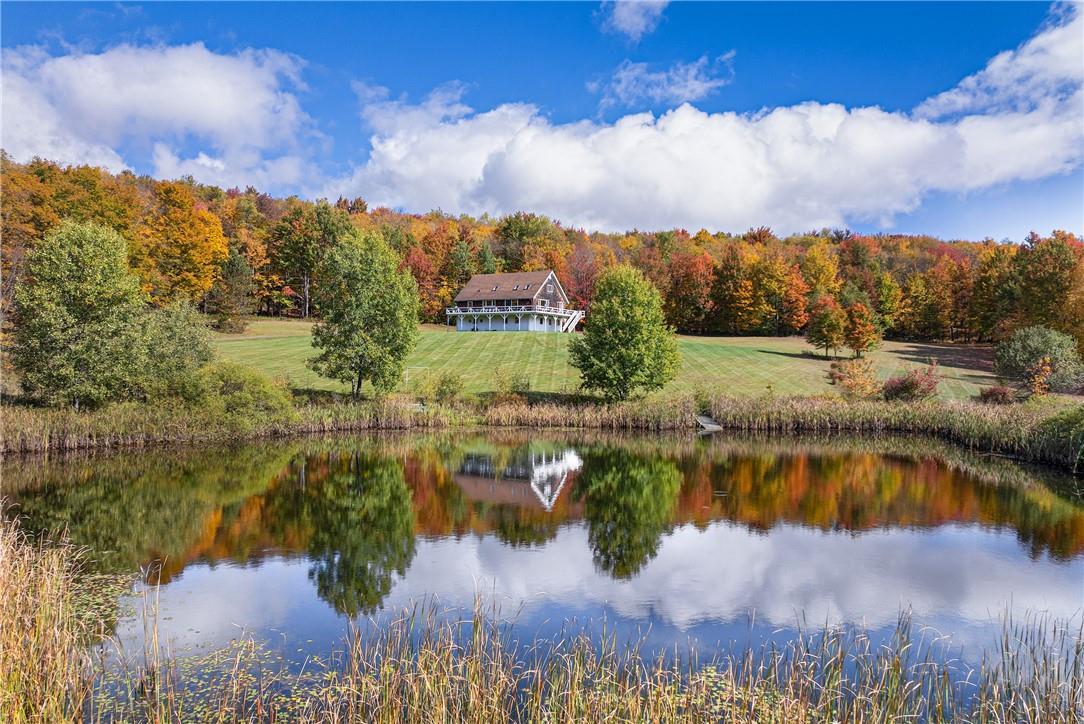 Single Family Hollister Hill Road  Delaware County, NY 13753, MLS-H6334658-3