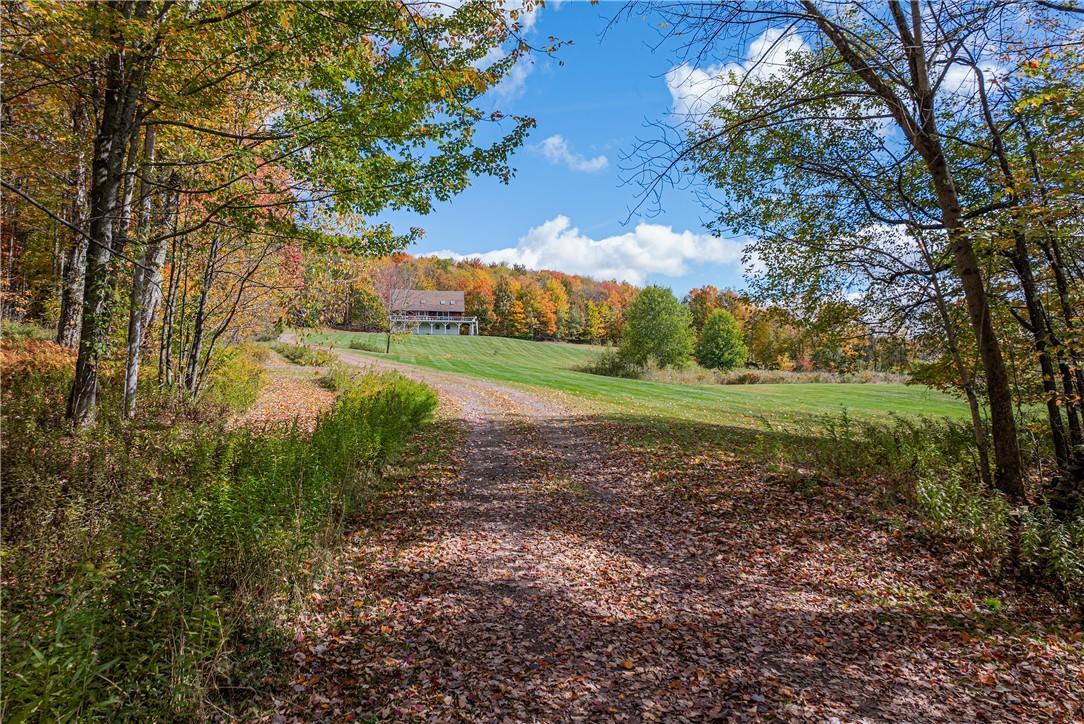 Single Family Hollister Hill Road  Delaware County, NY 13753, MLS-H6334658-4