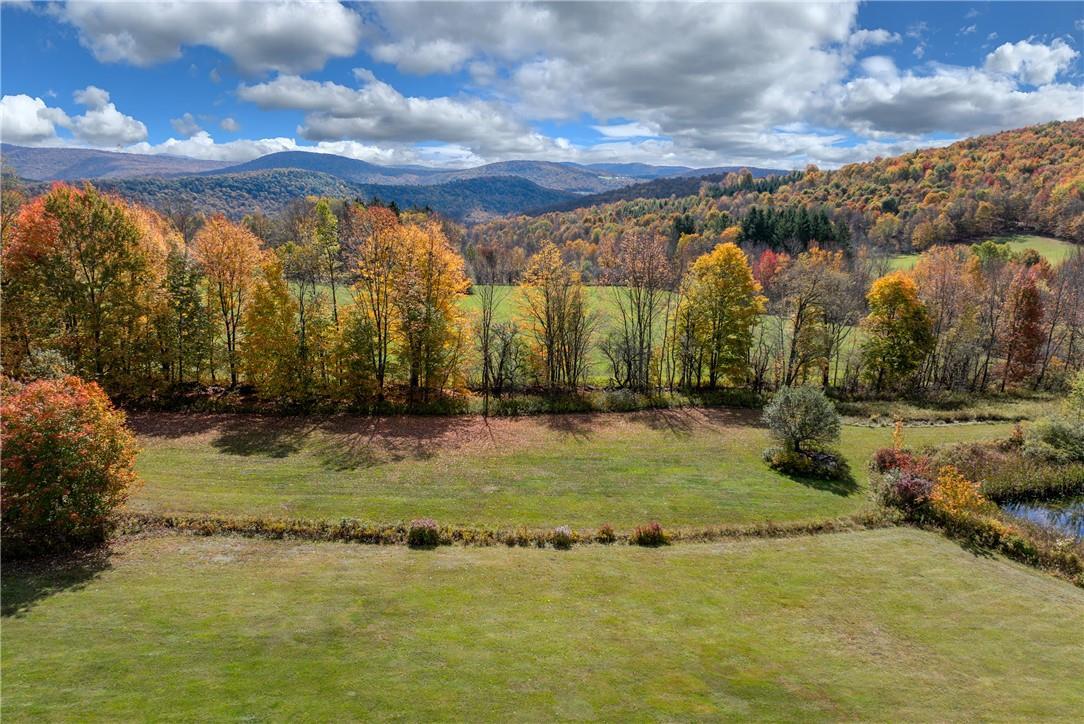 Single Family Hollister Hill Road  Delaware County, NY 13753, MLS-H6334658-7