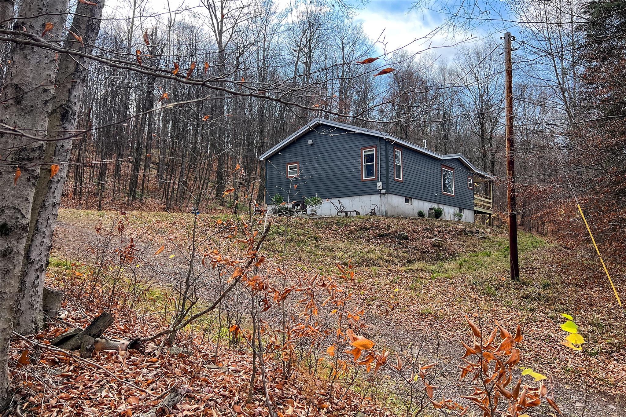 Single Family Curtis  Delaware County, NY 13782, MLS-H6334683-3