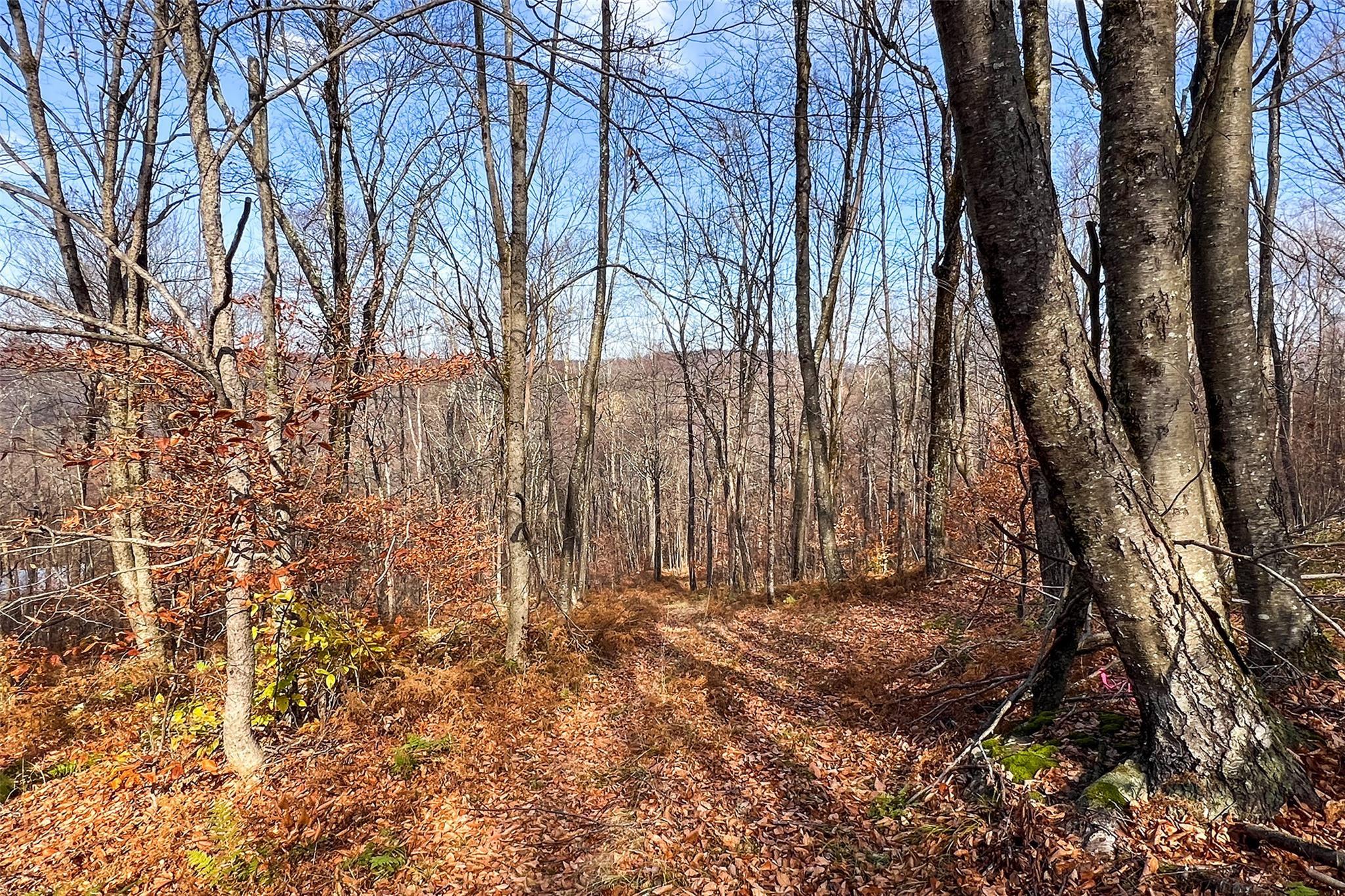 Single Family Curtis  Delaware County, NY 13782, MLS-H6334683-35