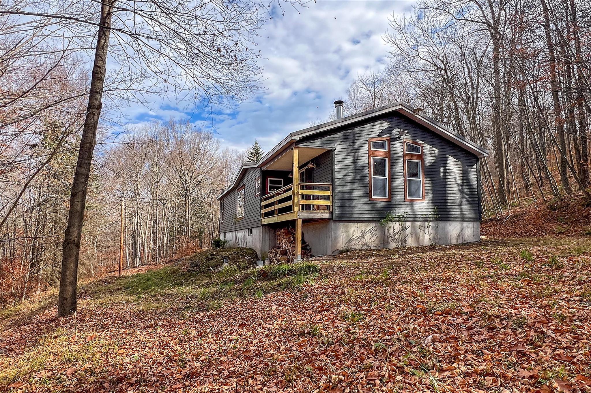 Single Family Curtis  Delaware County, NY 13782, MLS-H6334683-8