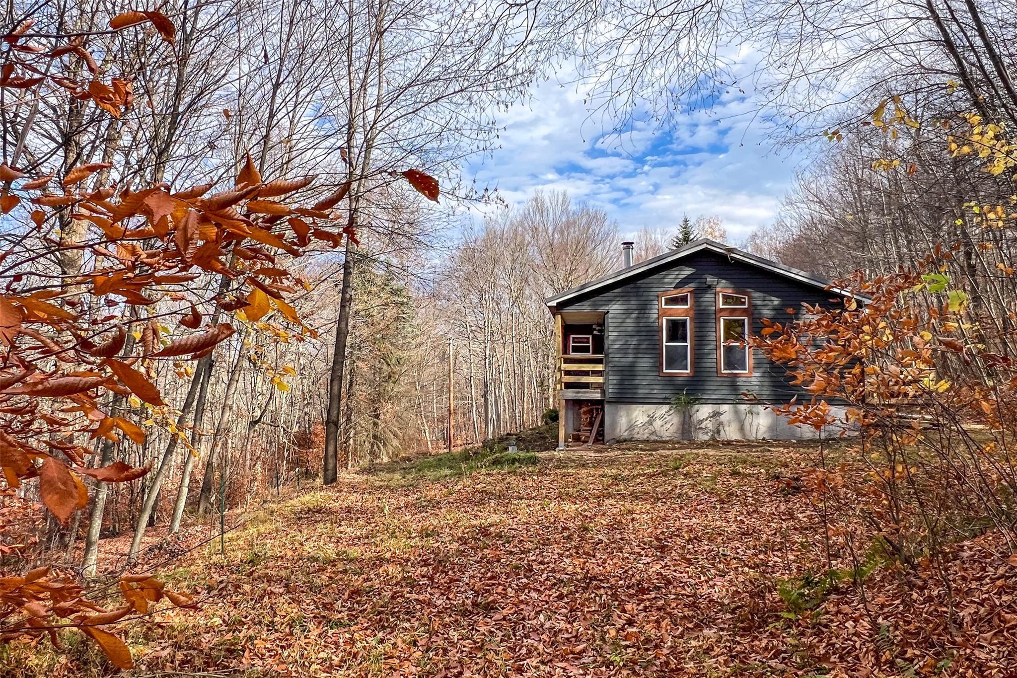 Single Family Curtis  Delaware County, NY 13782, MLS-H6334683-9
