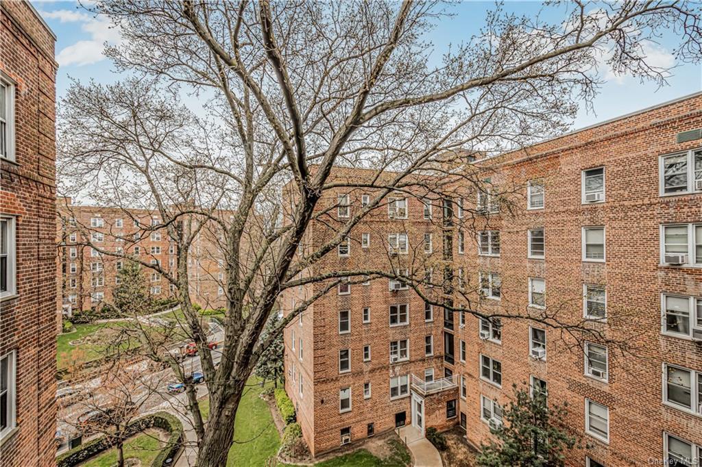 Coop Netherland  Bronx, NY 10471, MLS-H6334980-12
