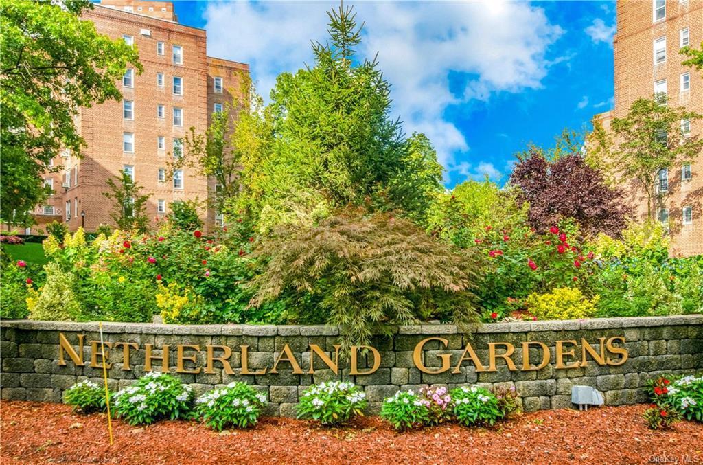 Coop Netherland  Bronx, NY 10471, MLS-H6334980-2