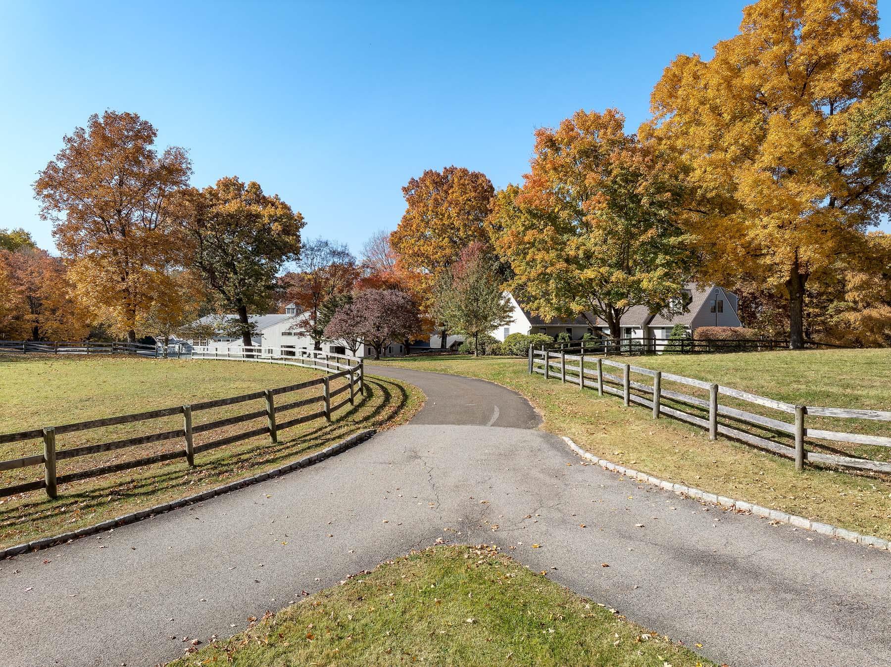 Single Family Raafenberg  Westchester County, NY 10591, MLS-H6335041-17