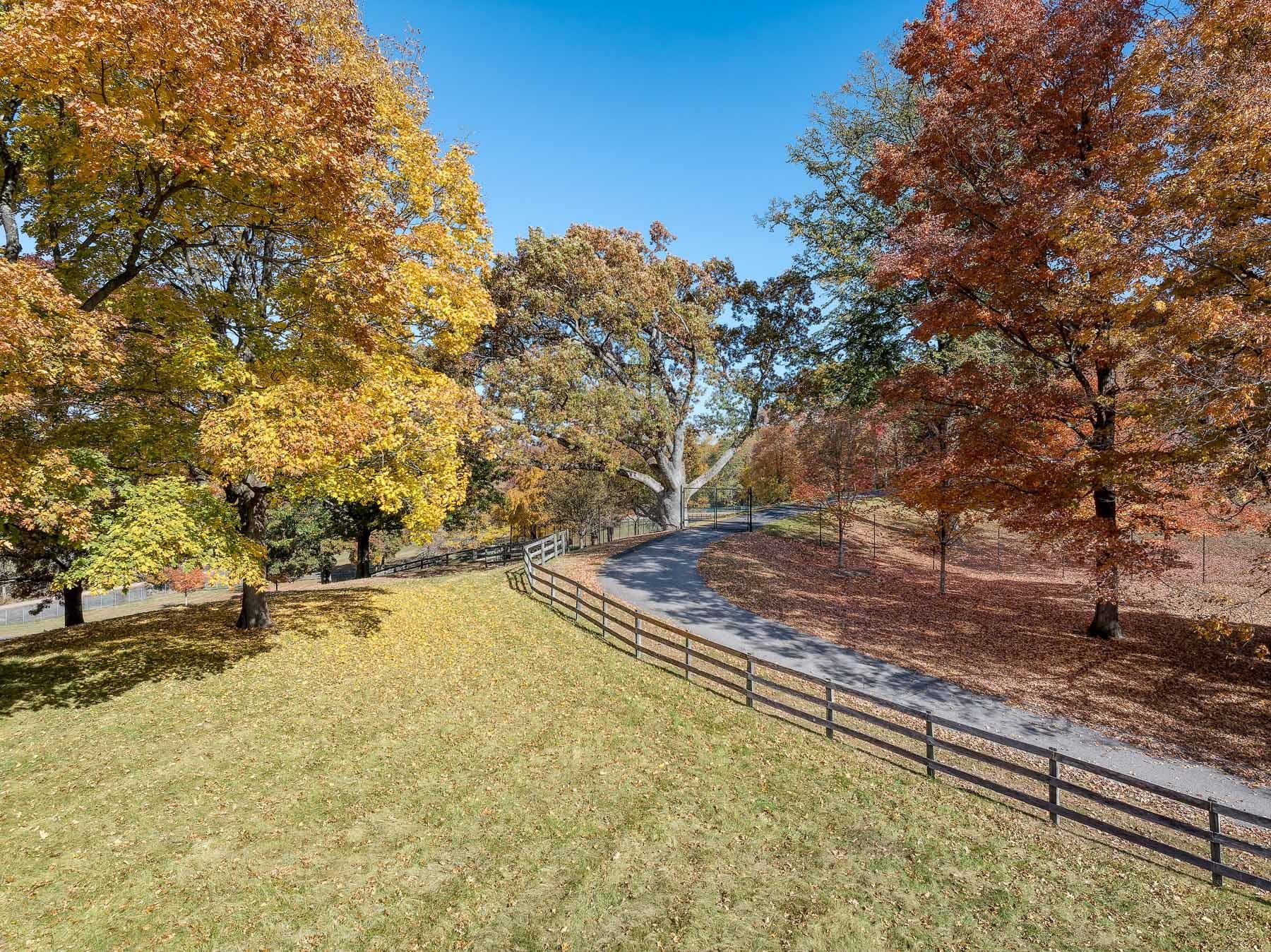 Single Family Raafenberg  Westchester County, NY 10591, MLS-H6335041-22