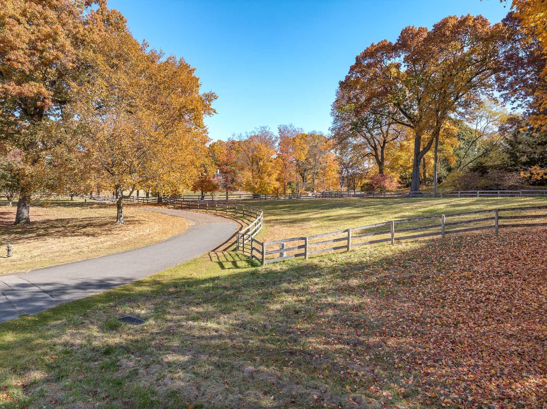 Single Family Raafenberg  Westchester County, NY 10591, MLS-H6335041-25