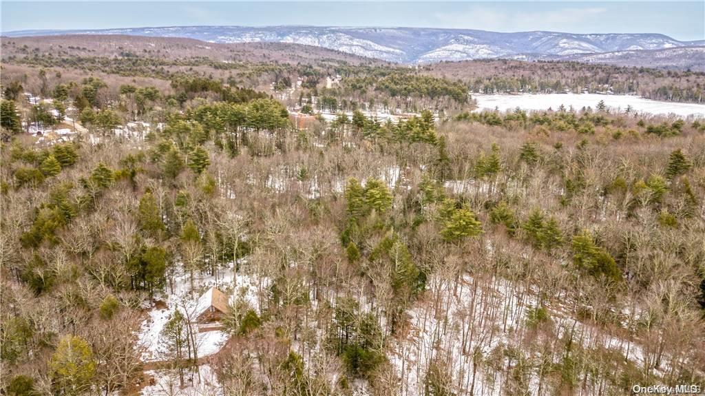 Single Family Ulster Heights  Ulster County, NY 12489, MLS-L3299433-22