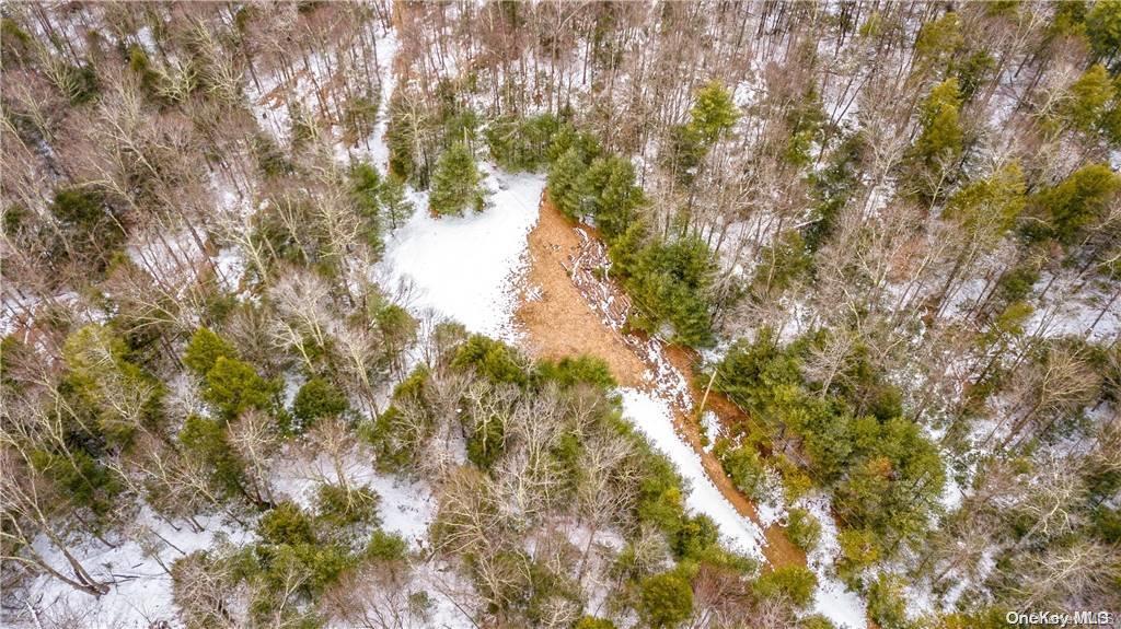 Single Family Ulster Heights  Ulster County, NY 12489, MLS-L3299433-23