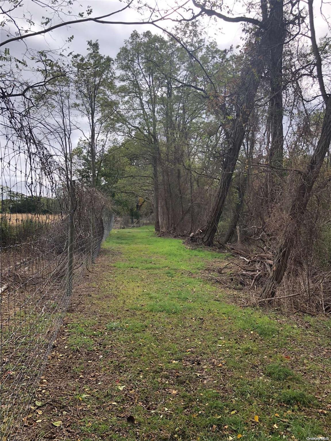 Single Family Belleview  Suffolk County, NY 11934, MLS-L3442478-11