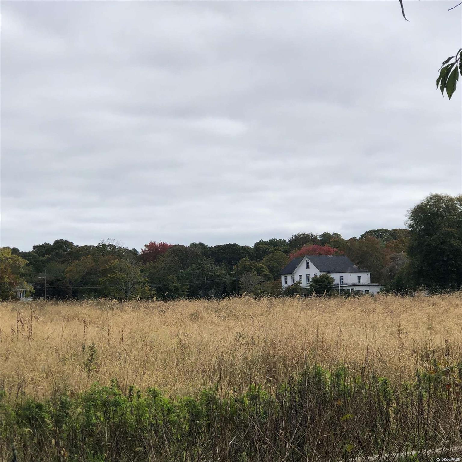 Single Family Belleview  Suffolk County, NY 11934, MLS-L3442478-3