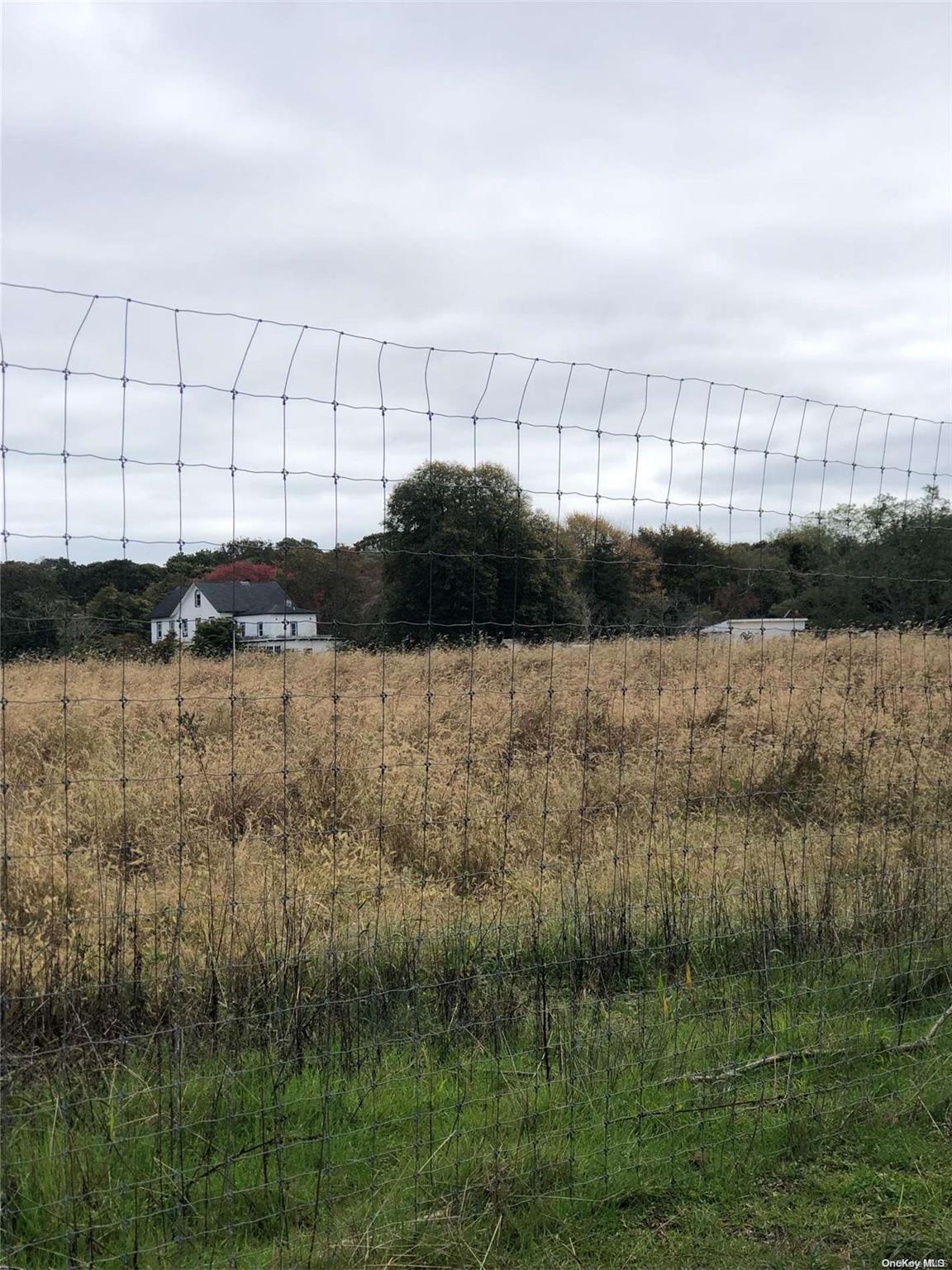 Single Family Belleview  Suffolk County, NY 11934, MLS-L3442478-4