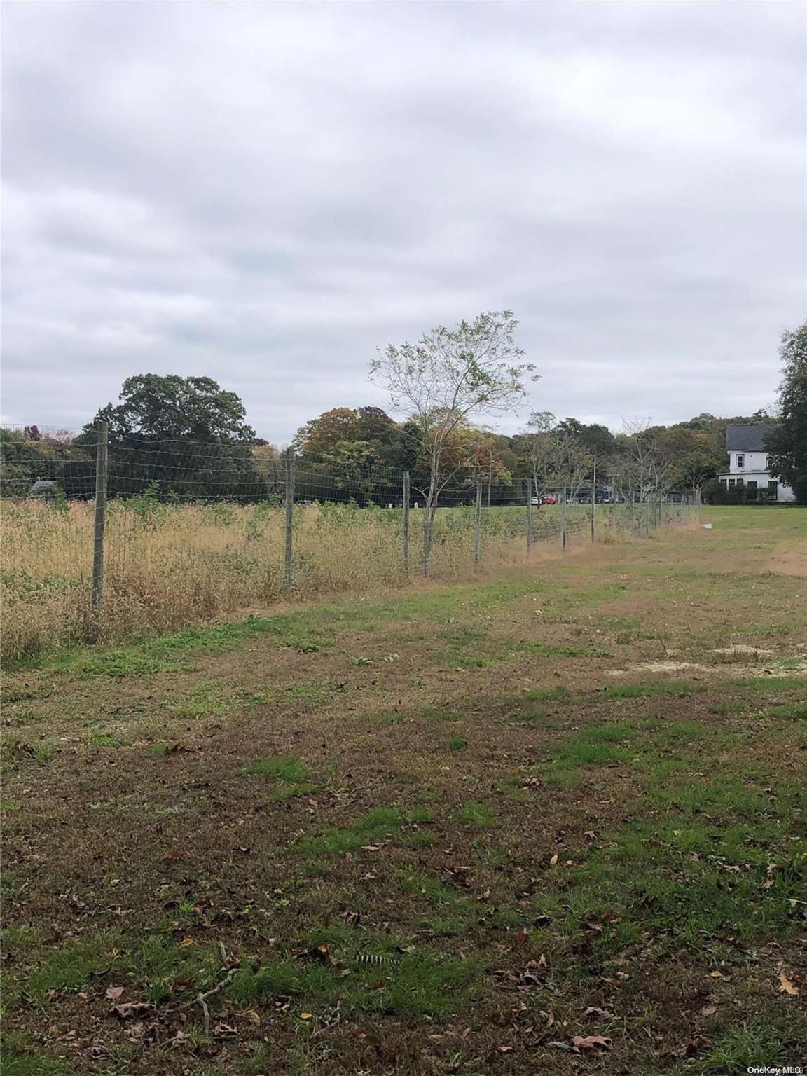 Single Family Belleview  Suffolk County, NY 11934, MLS-L3442478-5