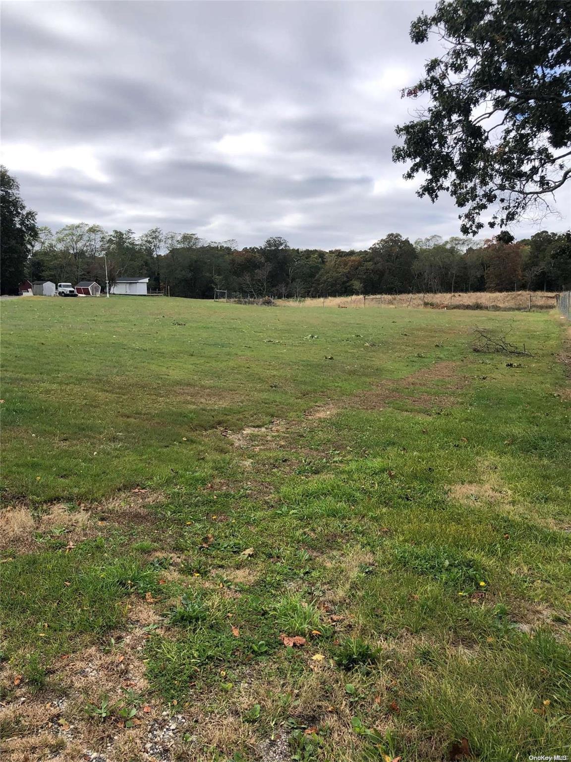 Single Family Belleview  Suffolk County, NY 11934, MLS-L3442478-6