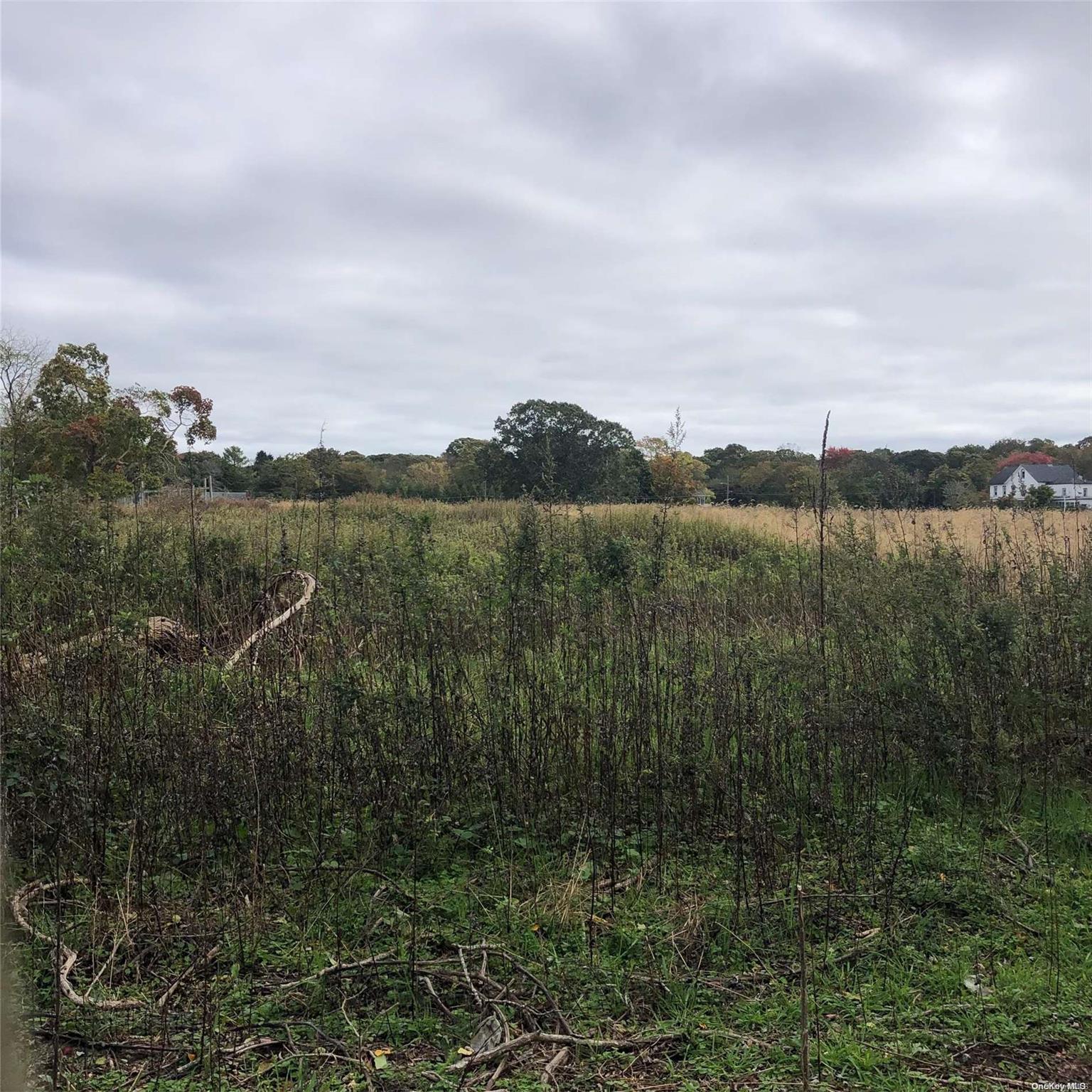 Single Family Belleview  Suffolk County, NY 11934, MLS-L3442478-7