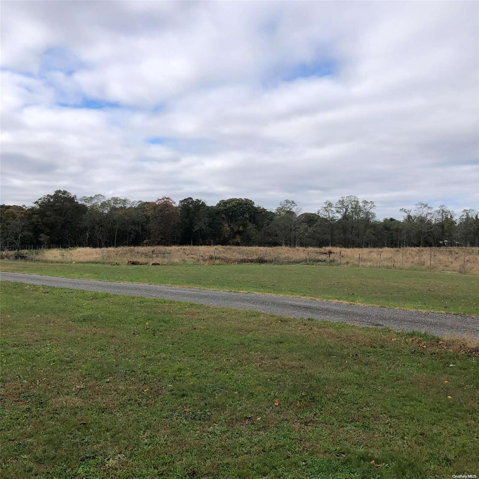 Single Family Belleview  Suffolk County, NY 11934, MLS-L3442478-8