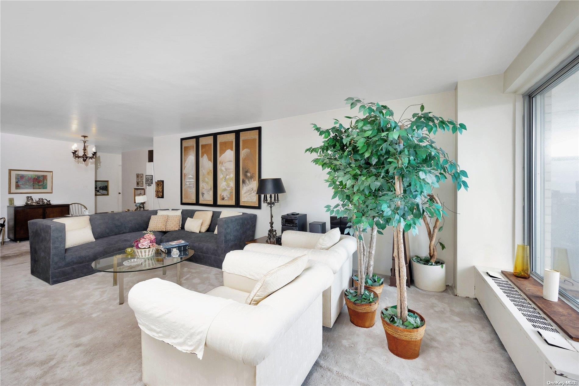 Coop Queens Blvd.  Queens, NY 11375, MLS-L3497663-11