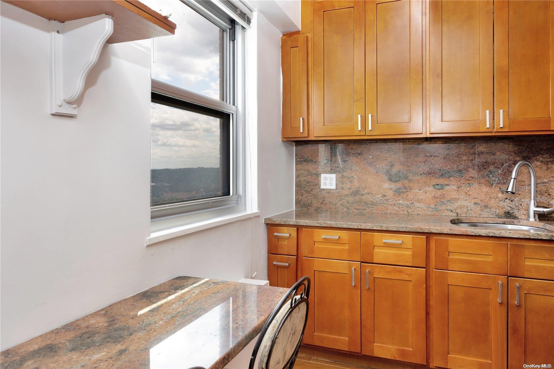 Coop Queens Blvd.  Queens, NY 11375, MLS-L3497663-22