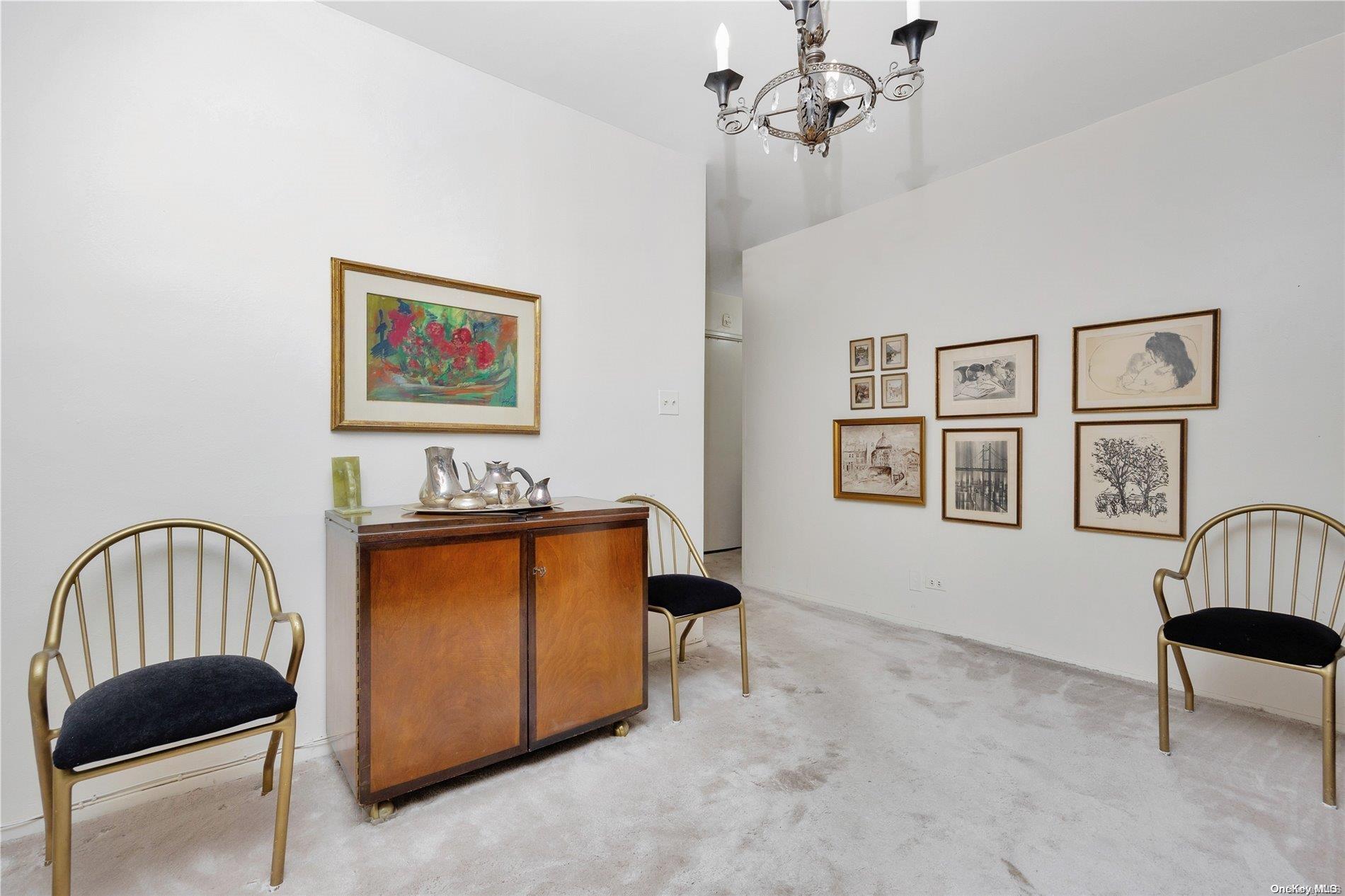 Coop Queens Blvd.  Queens, NY 11375, MLS-L3497663-6
