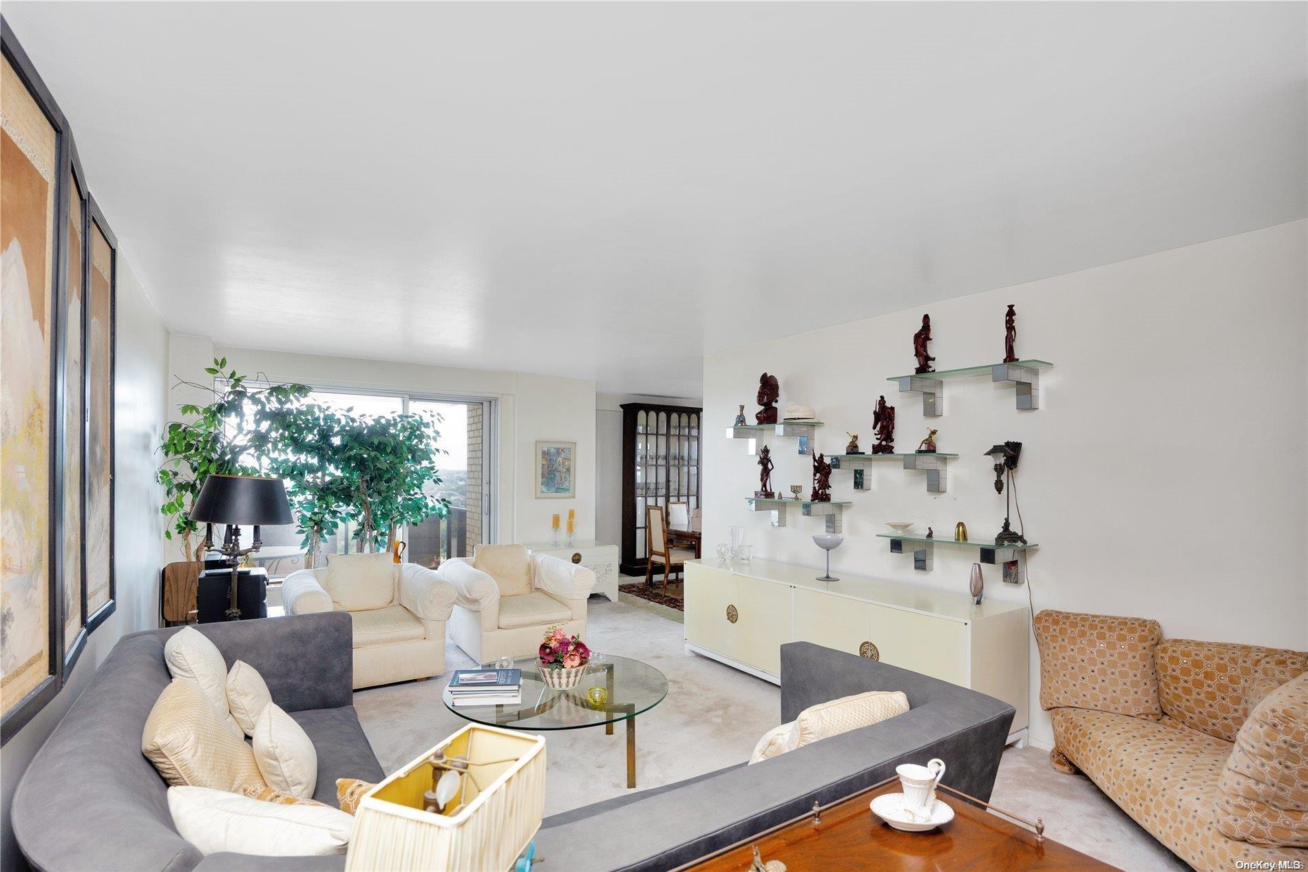 Coop Queens Blvd.  Queens, NY 11375, MLS-L3497663-8