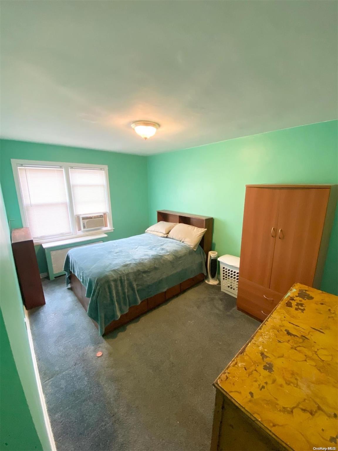 Single Family 47th  Queens, NY 11105, MLS-L3501188-9