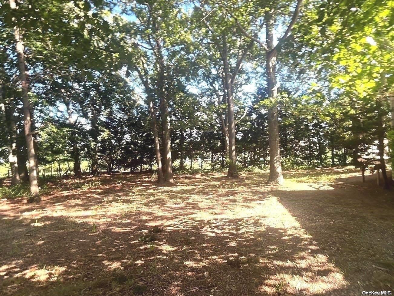 Single Family County Road 48  Suffolk County, NY 11935, MLS-L3501386-18