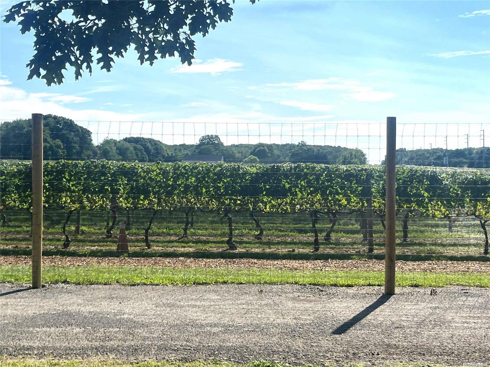 Single Family County Road 48  Suffolk County, NY 11935, MLS-L3501386-19