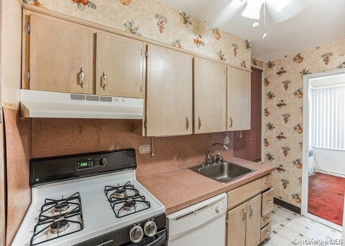 Coop 211  Queens, NY 11360, MLS-L3503851-14