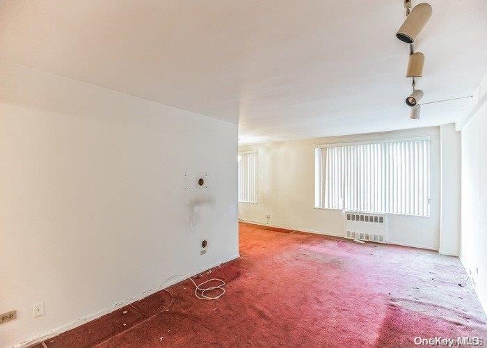Coop 211  Queens, NY 11360, MLS-L3503851-17