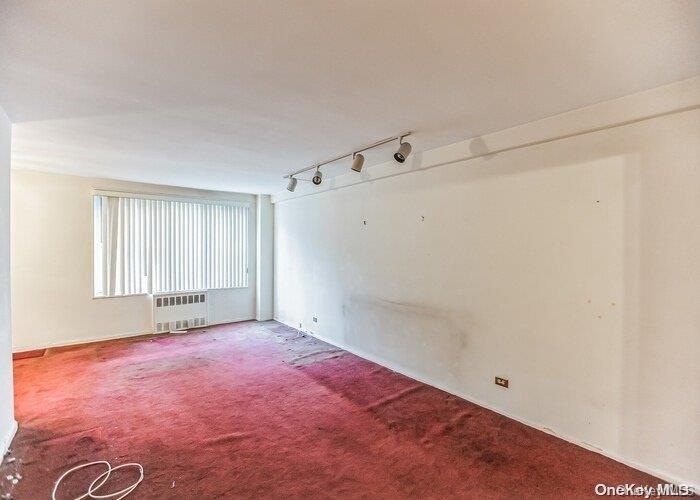 Coop 211  Queens, NY 11360, MLS-L3503851-18
