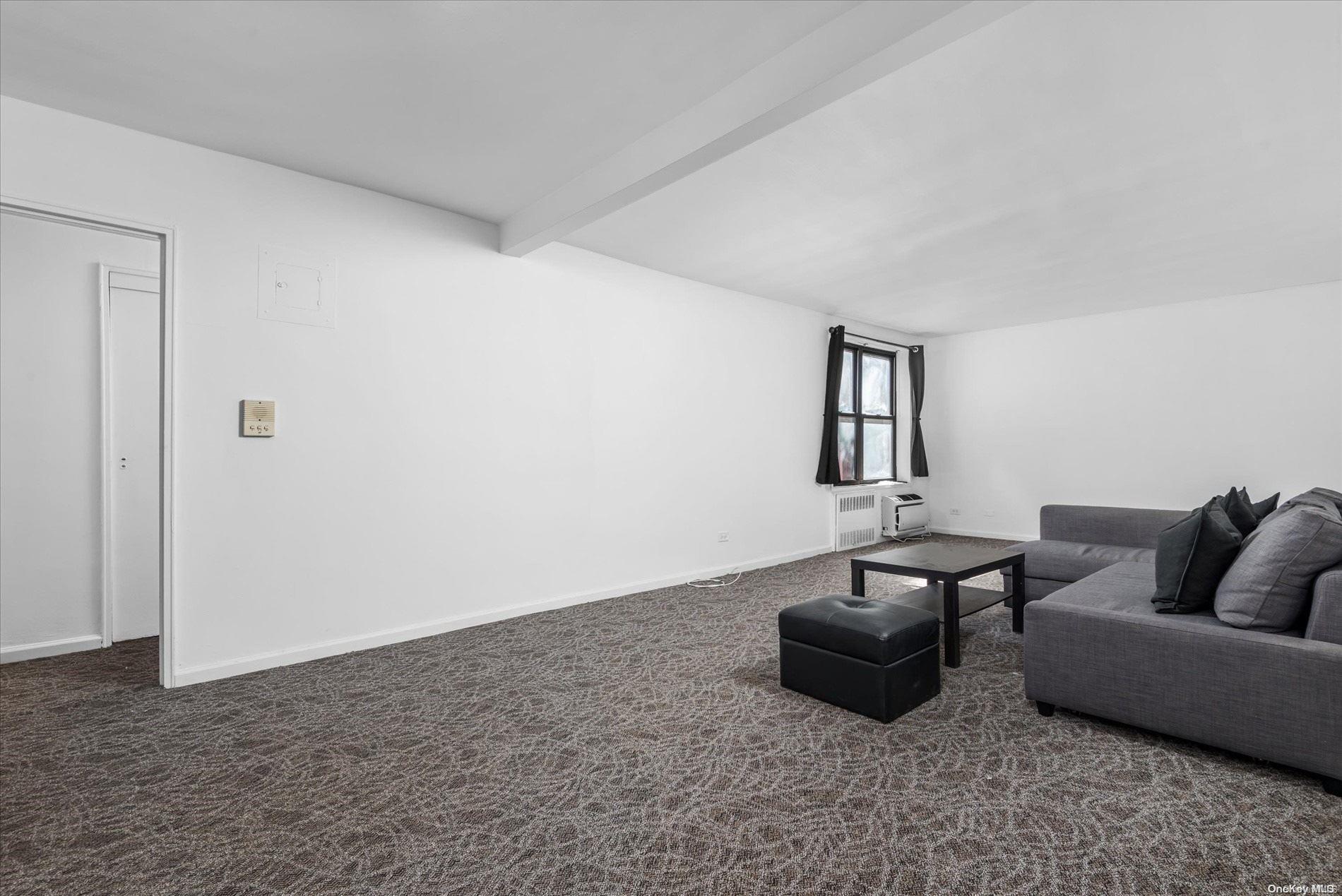 Coop 38th  Queens, NY 11377, MLS-L3506385-3