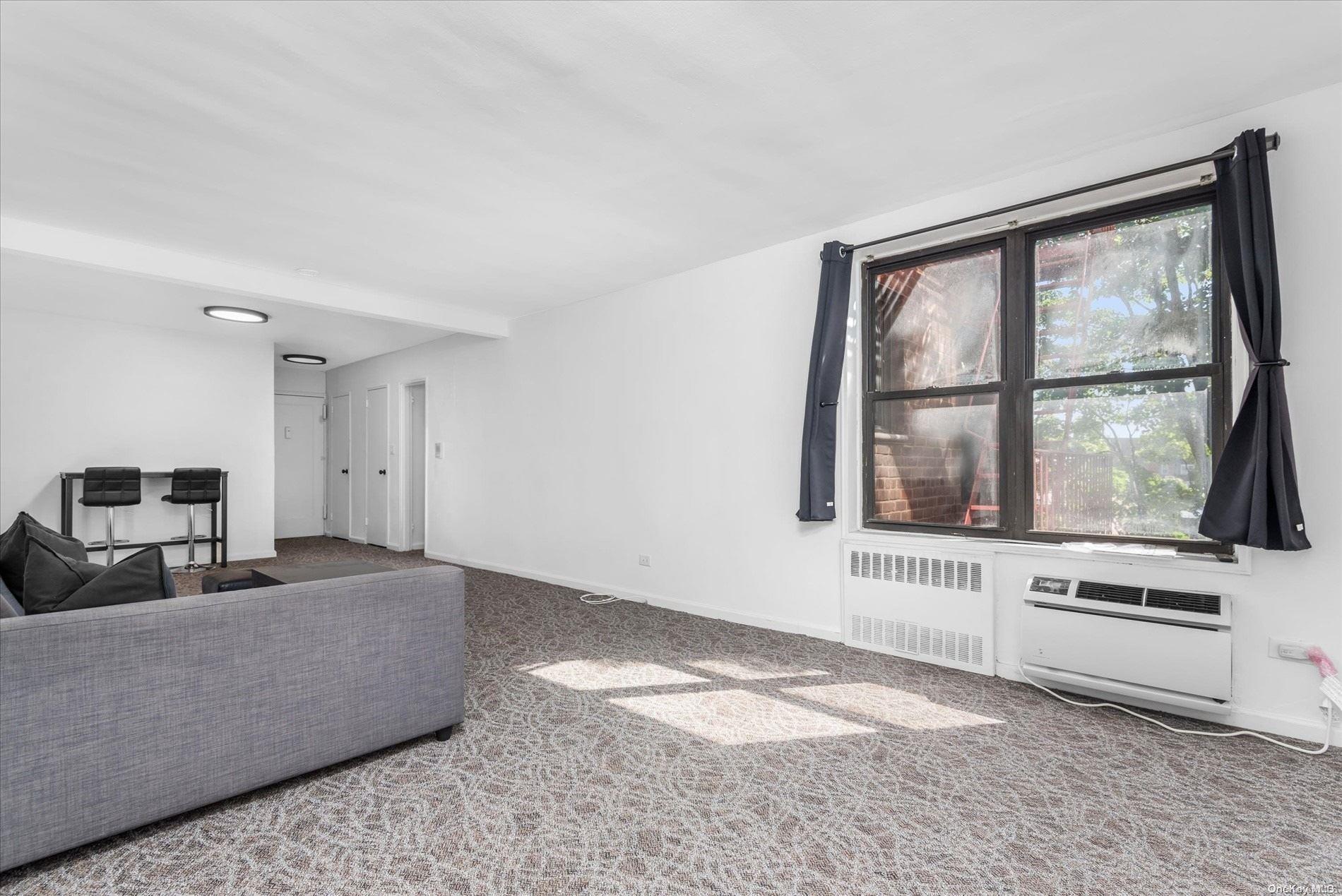 Coop 38th  Queens, NY 11377, MLS-L3506385-4