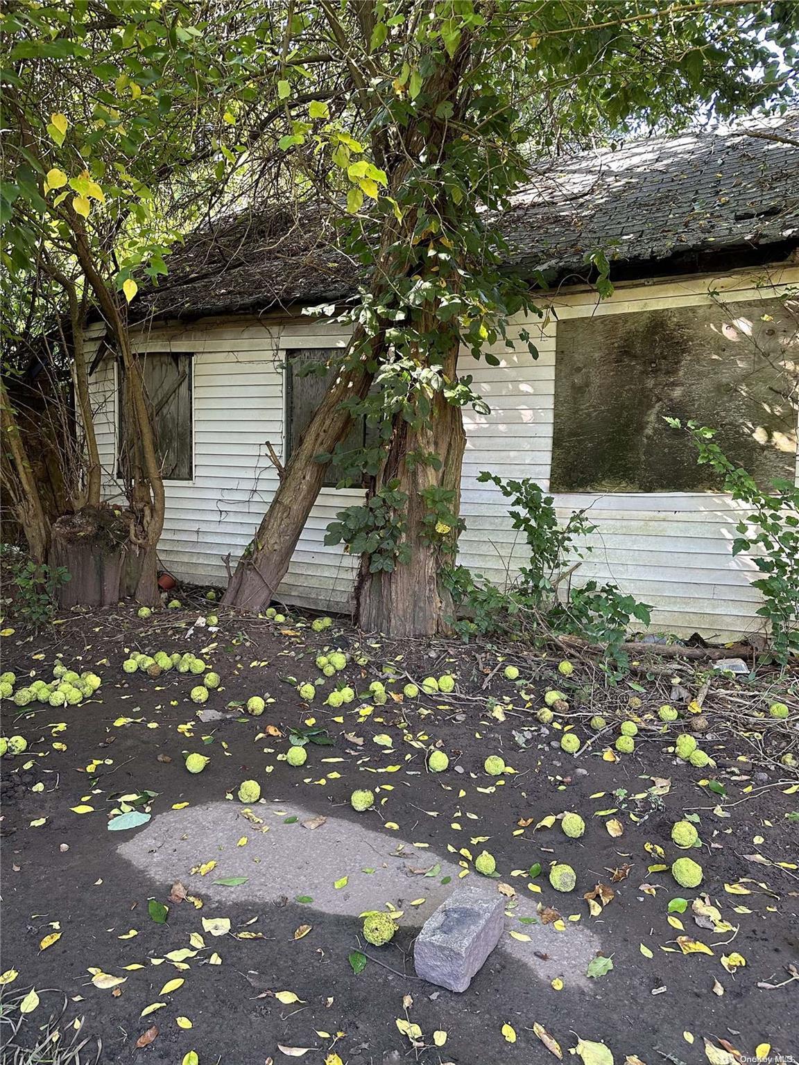 Land Discala  Staten Island, NY 10312, MLS-L3509220-14
