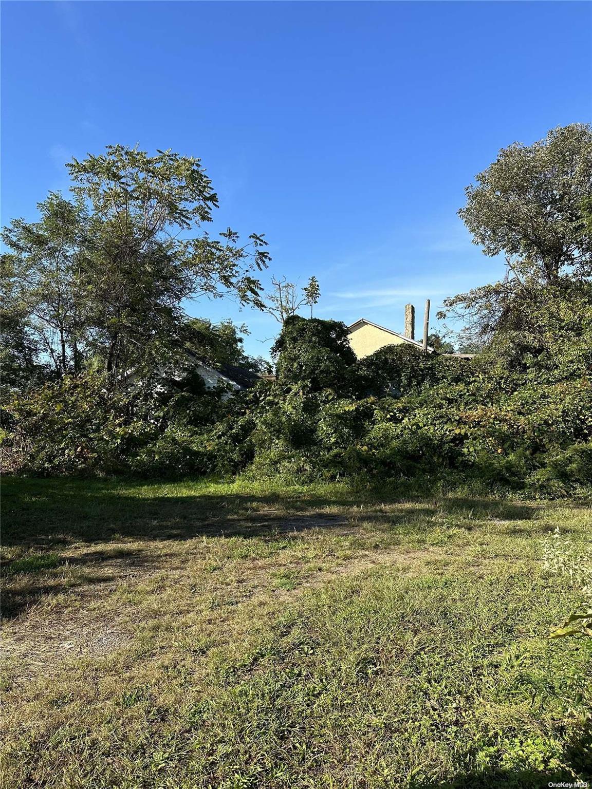 Land Discala  Staten Island, NY 10312, MLS-L3509220-4