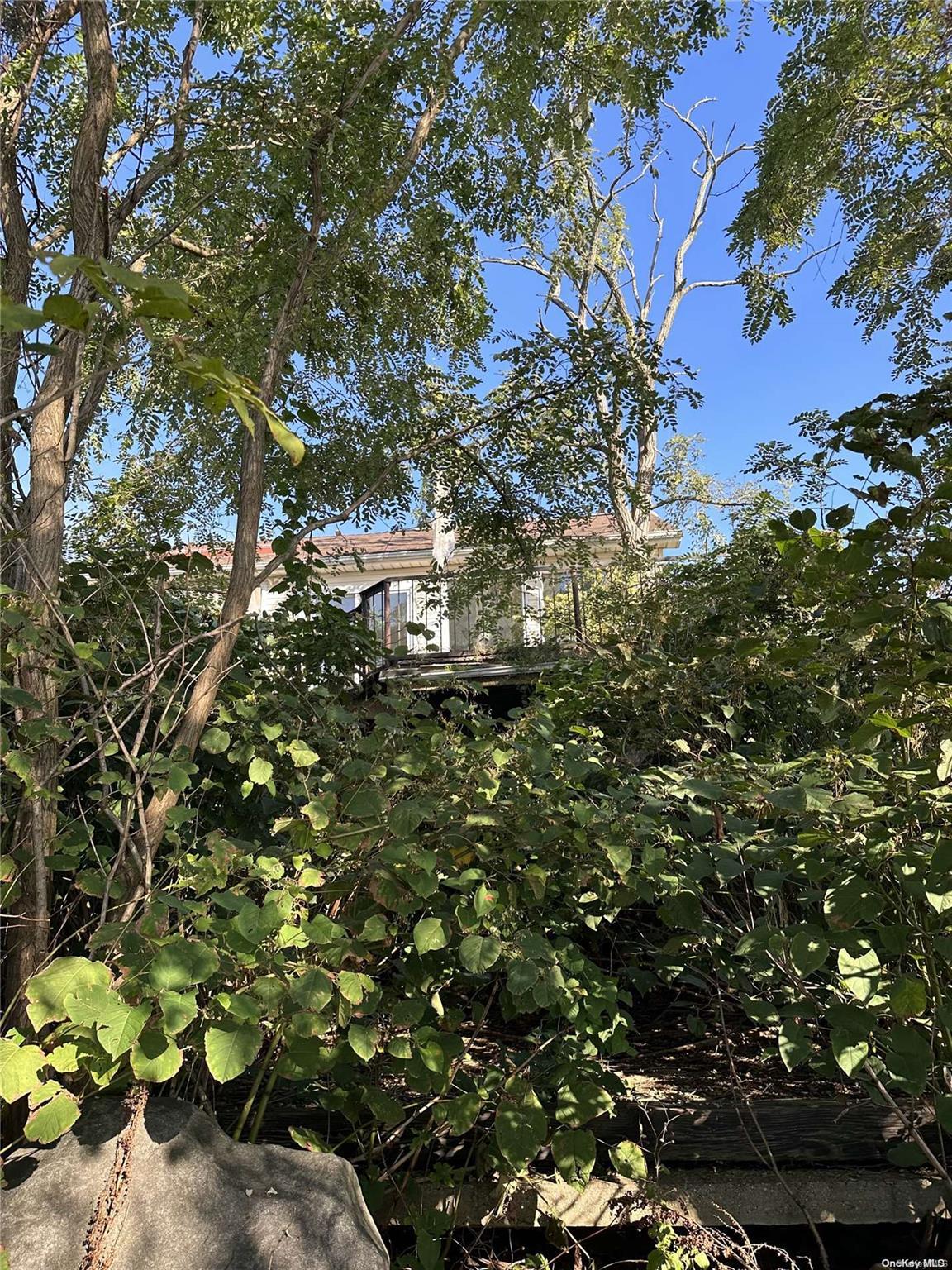Land Discala  Staten Island, NY 10312, MLS-L3509220-5