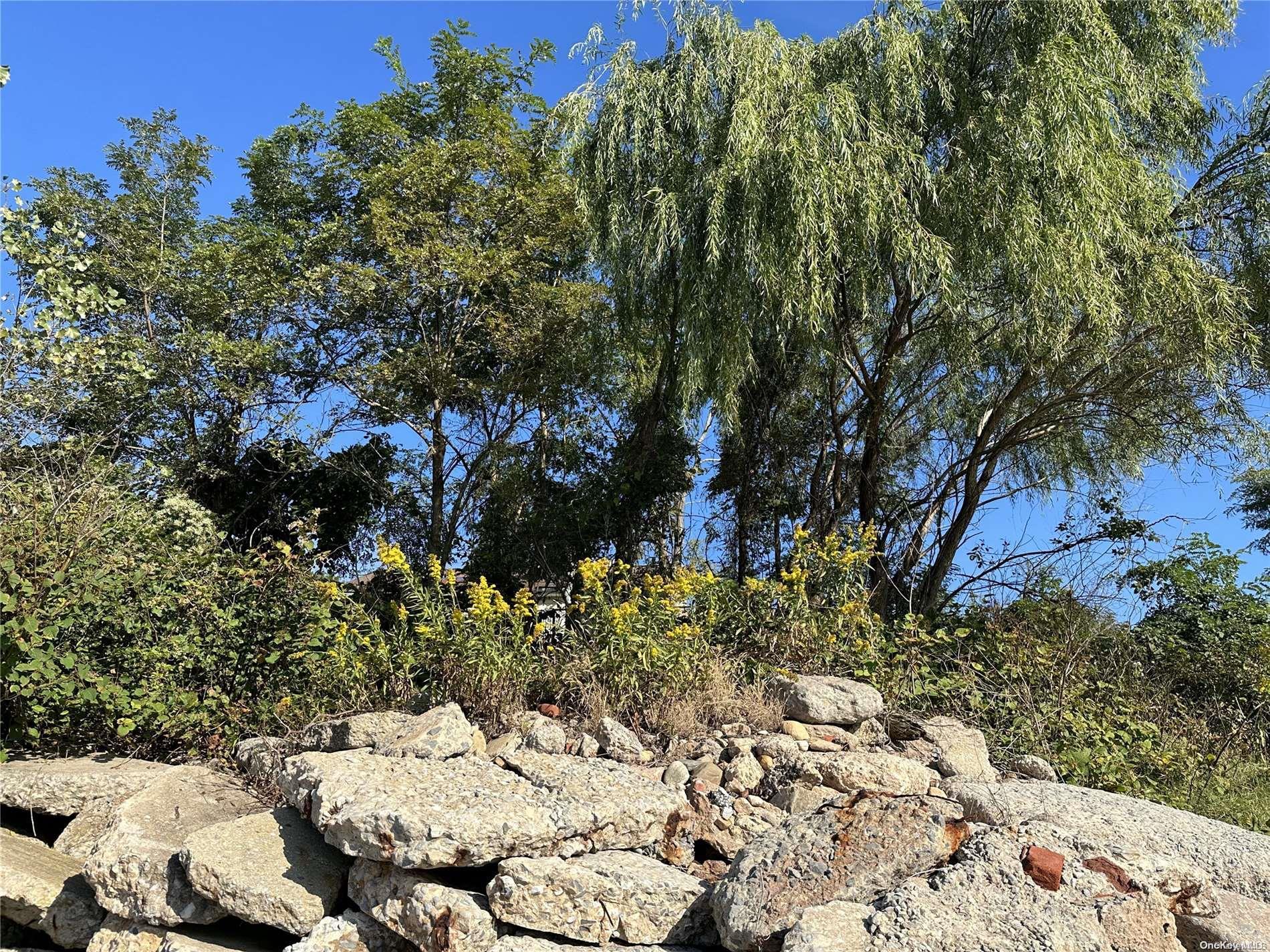 Land Discala  Staten Island, NY 10312, MLS-L3509220-7