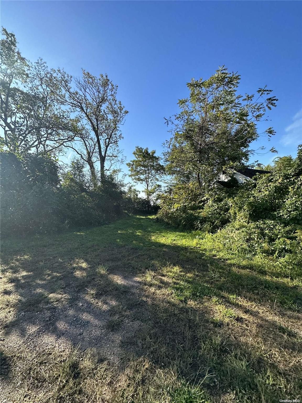 Land Discala  Staten Island, NY 10312, MLS-L3509220-8