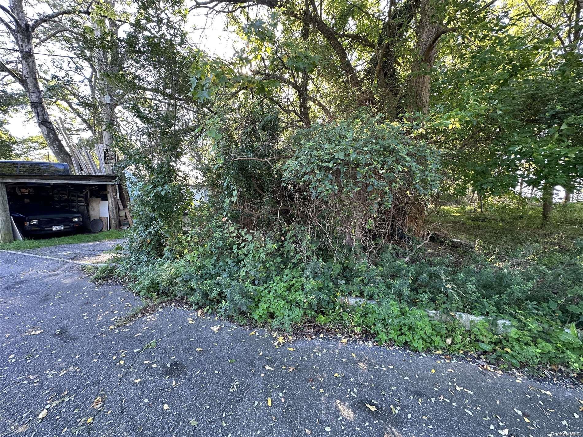 Land Discala  Staten Island, NY 10312, MLS-L3509220-9