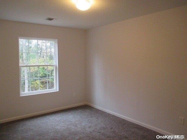 Single Family Doane  Suffolk County, NY 11713, MLS-L3512189-10