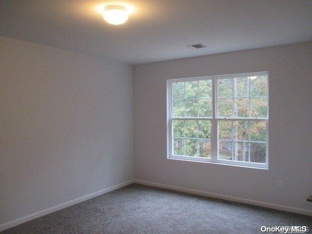 Single Family Doane  Suffolk County, NY 11713, MLS-L3512189-11