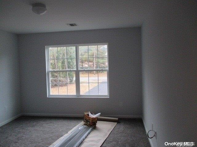 Single Family Doane  Suffolk County, NY 11713, MLS-L3512189-12