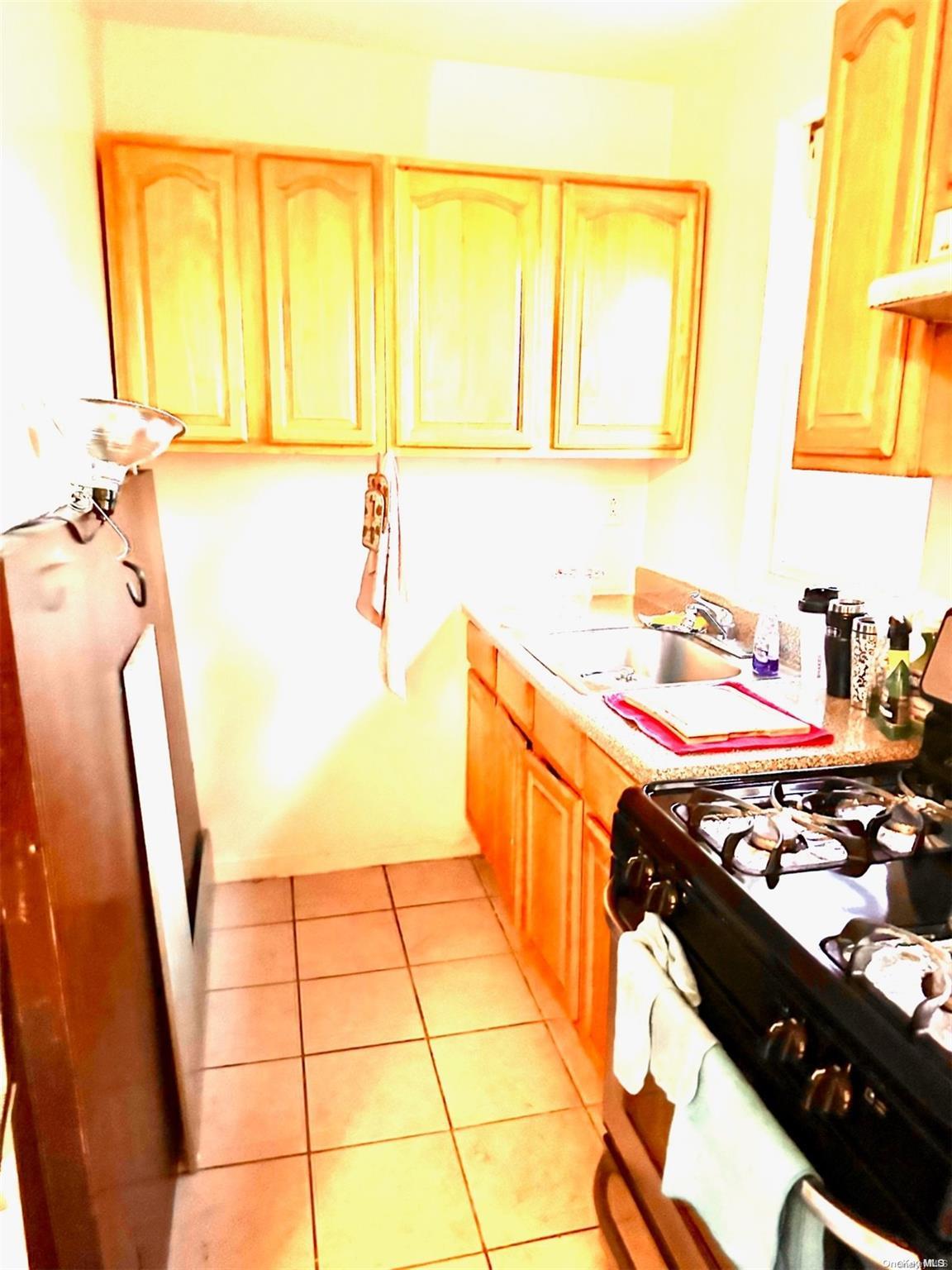 Single Family Austin  Queens, NY 11375, MLS-L3512290-2