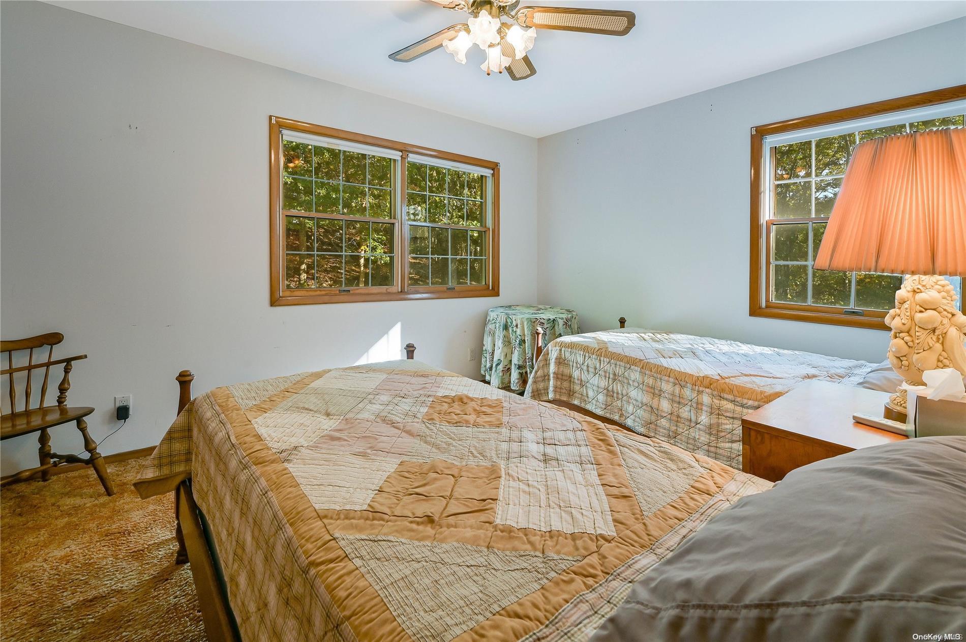 Single Family Trail  Suffolk County, NY 11976, MLS-L3512621-18