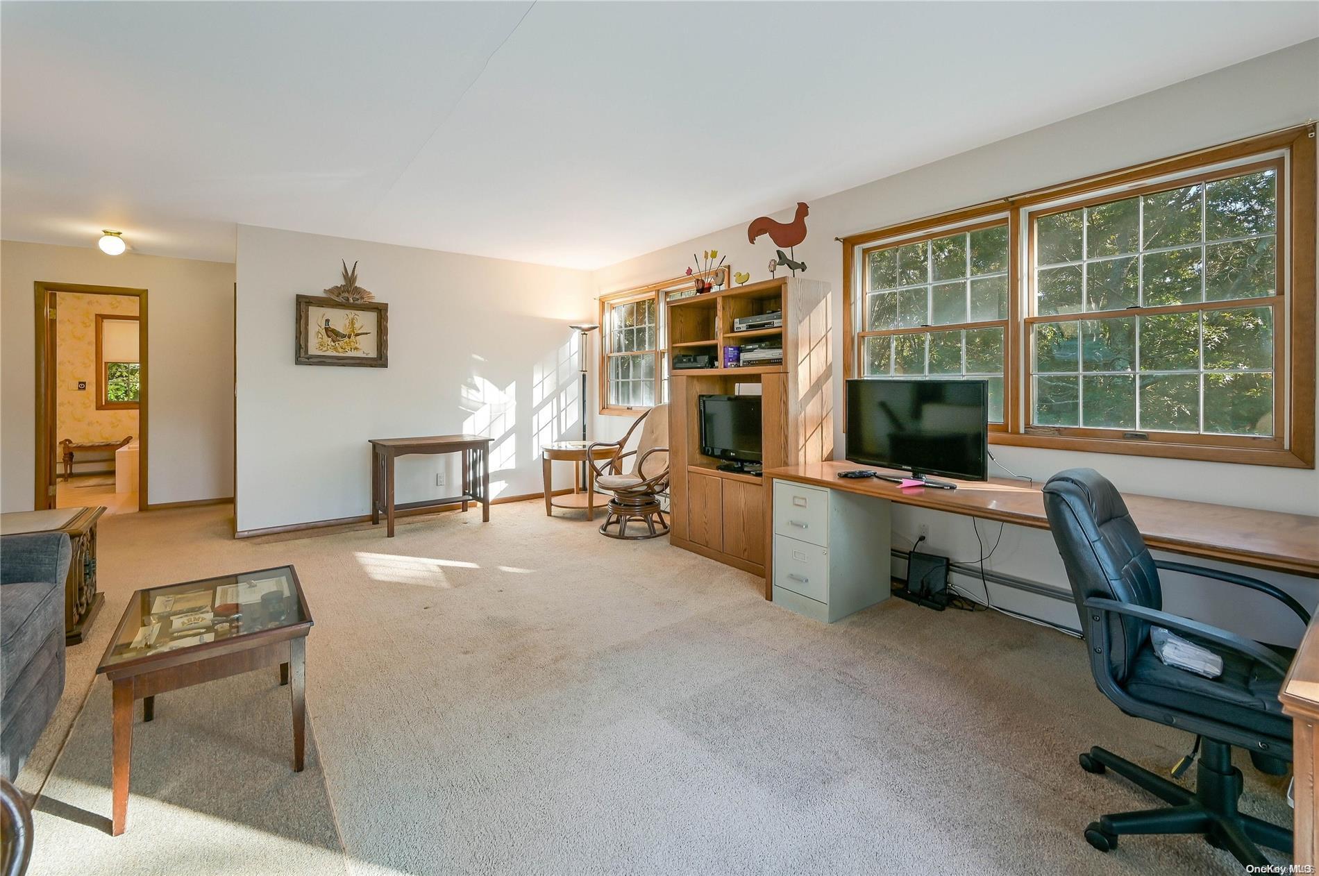 Single Family Trail  Suffolk County, NY 11976, MLS-L3512621-25