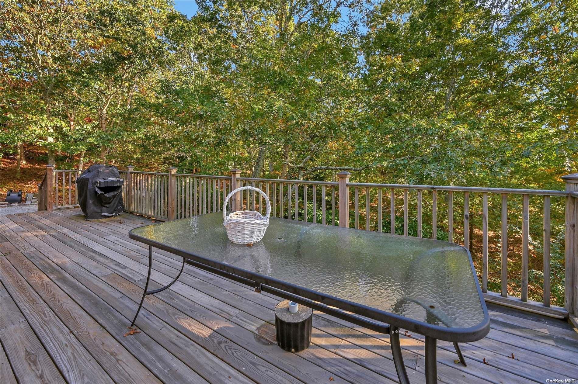 Single Family Trail  Suffolk County, NY 11976, MLS-L3512621-31